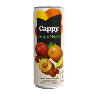 CAPPY KARIŞIK 330 ML KUTU