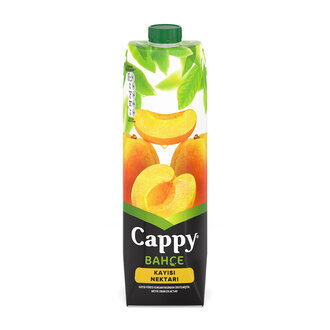 CAPPY  KAYISI NEKTAR TETRAR 1 LT *12 - 1