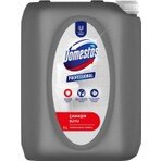 DOMESTOS PRO ÇAMAŞIR SUYU 5 LT *4