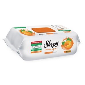 SLEEPY YÜZEY TEMİZLİK HAVLUSU MUTFAK PORTAKAL 100 Lİ  *12