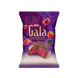 TORKU GALA ORMAN MEYVELİ KEK 24X50GR